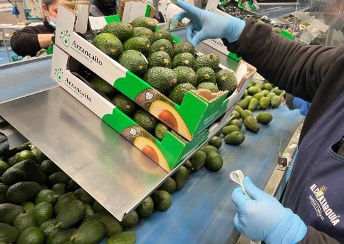 Las frutas tropicales se enfrentan a una reducción en su producción del 80%