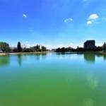 Marcelo Shepardez Profile Picture