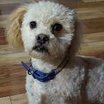 KayzerCL Profile Picture