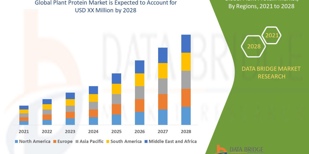 Plant-Based Protein Market Size, Share, Trends, Growth Opportunities and Competitive Outlook