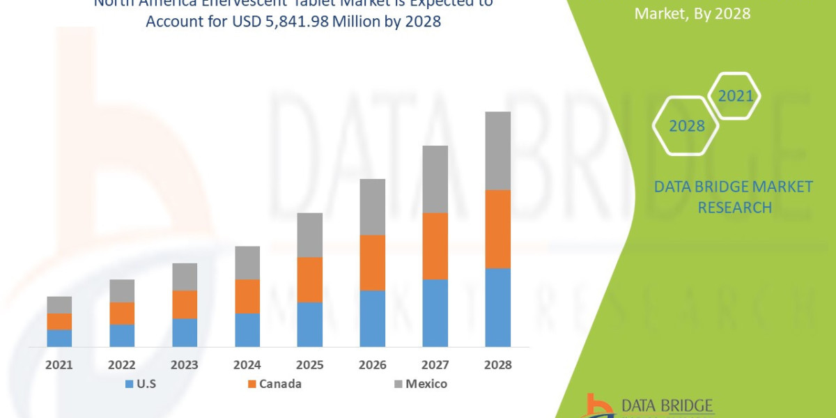 North America Effervescent Tablet Market Size, Share, Trends, Demand, Growth and Competitive Outlook